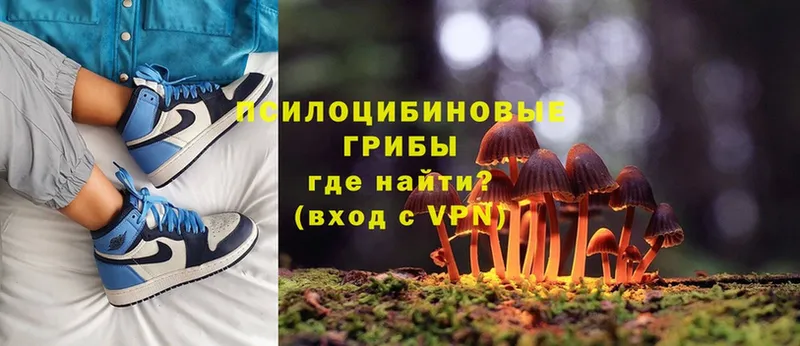 Псилоцибиновые грибы мухоморы  сайты даркнета как зайти  Удомля 